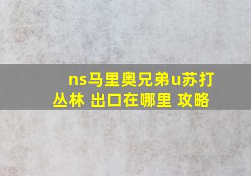 ns马里奥兄弟u苏打丛林 出口在哪里 攻略